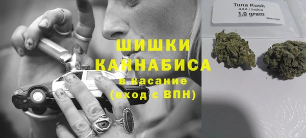 соль ск Михайлов