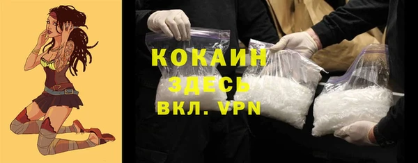 соль ск Михайлов