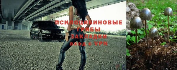 соль ск Михайлов
