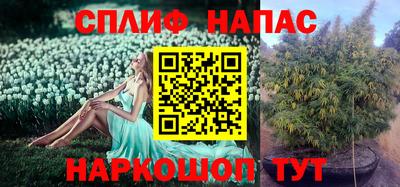 сатива Бугуруслан