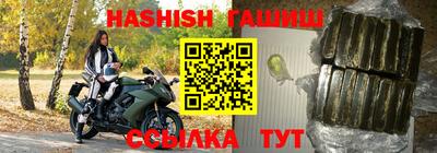 гидра Беслан