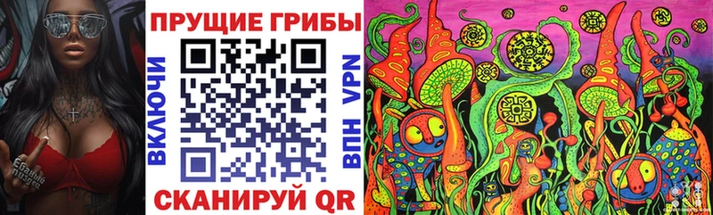 Псилоцибиновые грибы мицелий  kraken   Гурьевск  где продают  