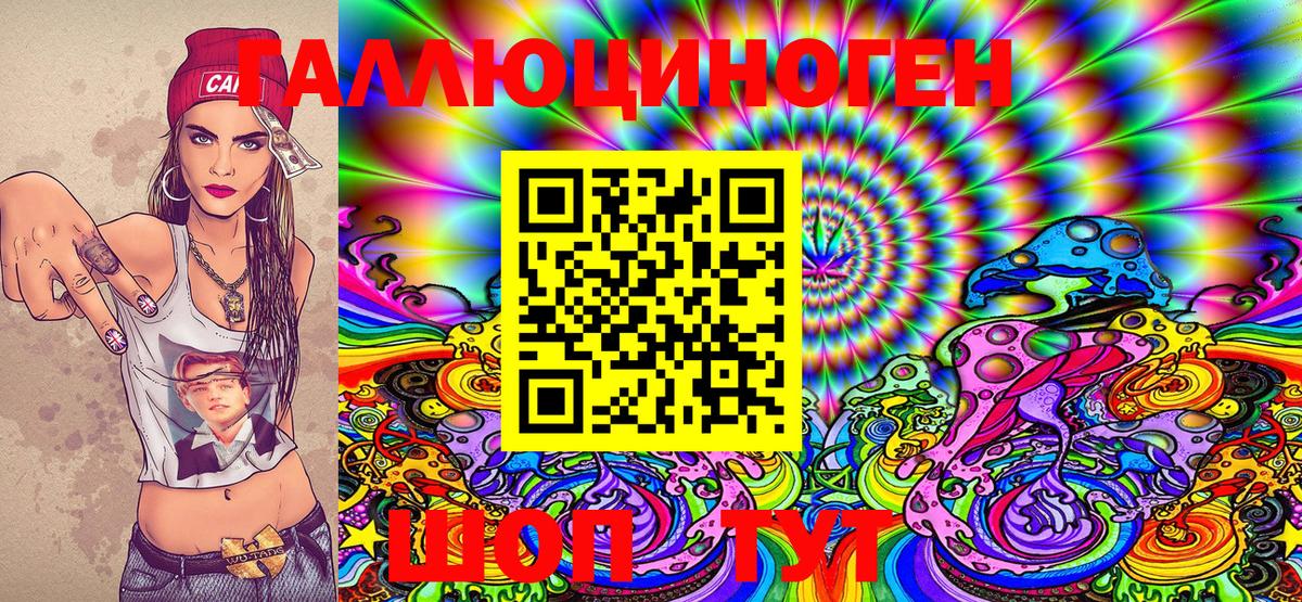 Псилоцибиновые грибы Psilocybe Гурьевск