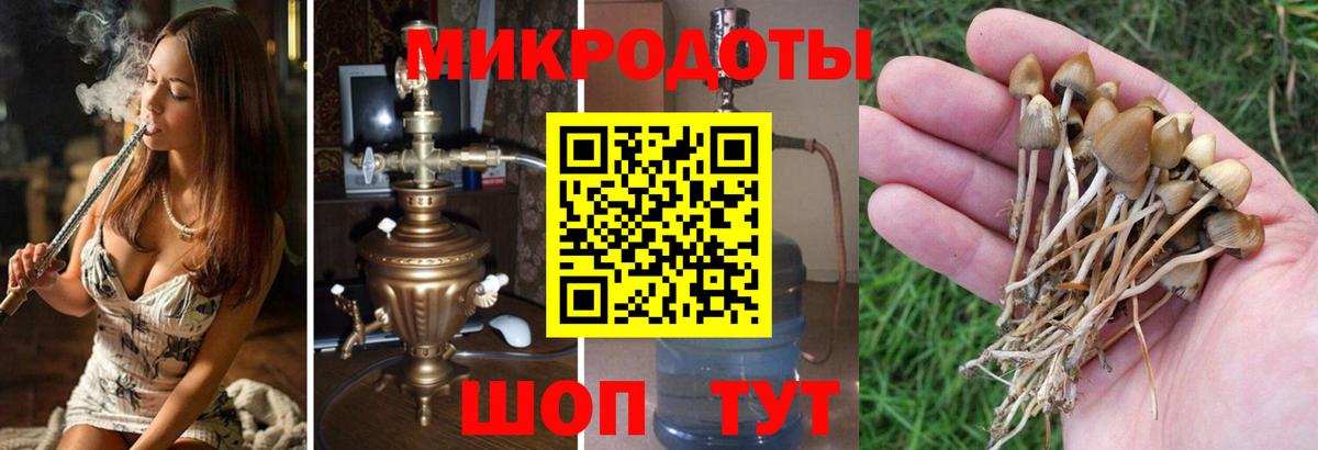 Галлюциногенные грибы ЛСД Гурьевск