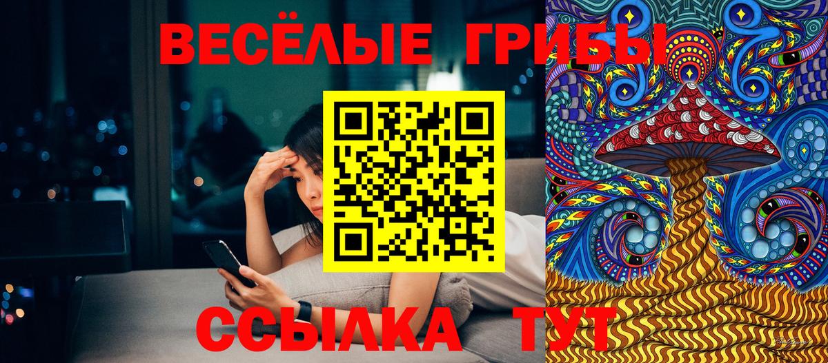 Псилоцибиновые грибы GOLDEN TEACHER  Гурьевск  хочу   Галлюциногенные грибы Psilocybe 