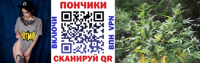 купить наркотик  Гурьевск  Бошки марихуана ГИДРОПОН 