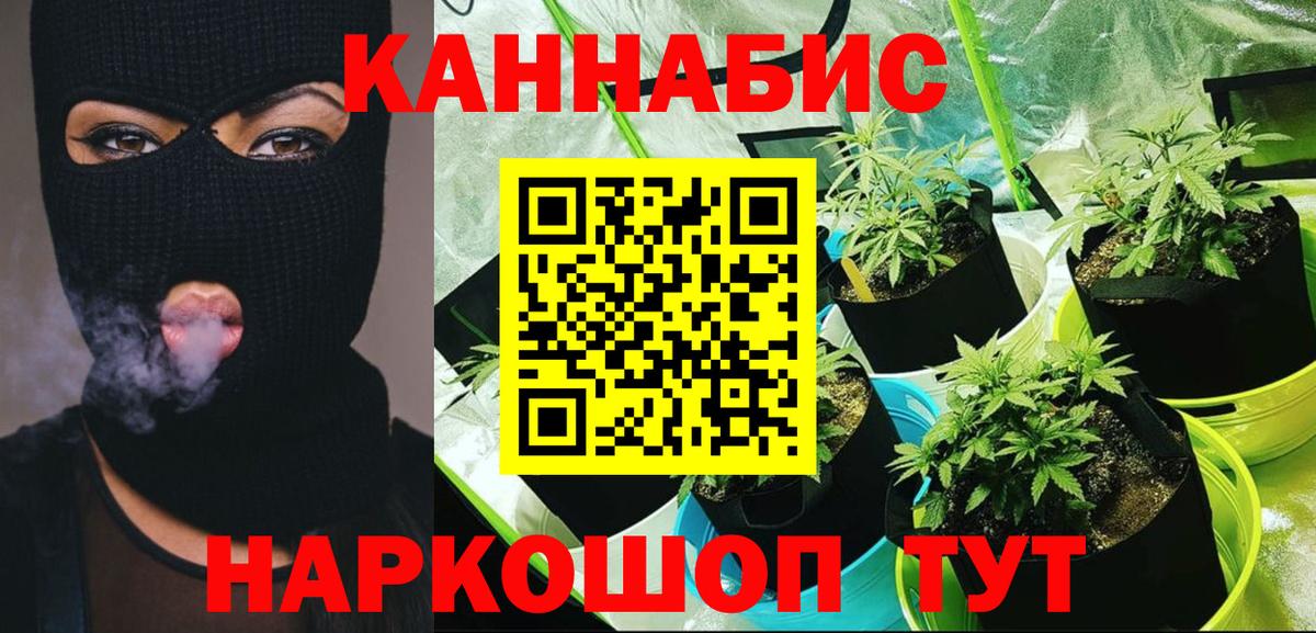 Каннабис конопля Гурьевск